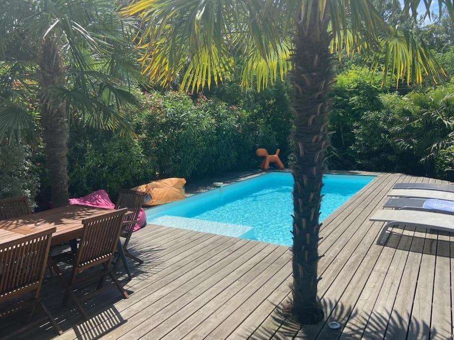 Villa Arcachon 12 Pers Avec Piscine Chauffee 1 Mai Au 30 Sept Eksteriør billede