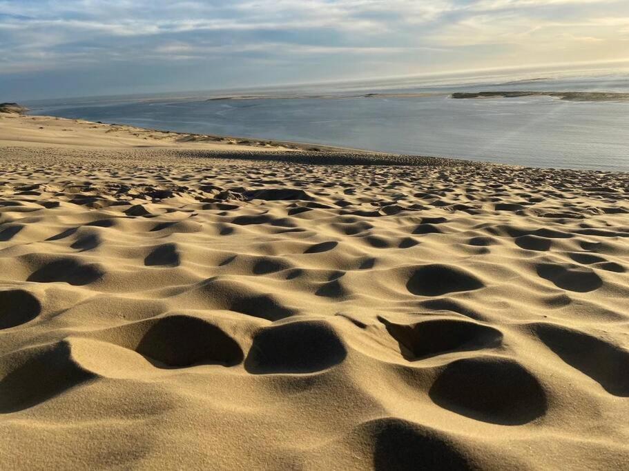Villa Arcachon 12 Pers Avec Piscine Chauffee 1 Mai Au 30 Sept Eksteriør billede