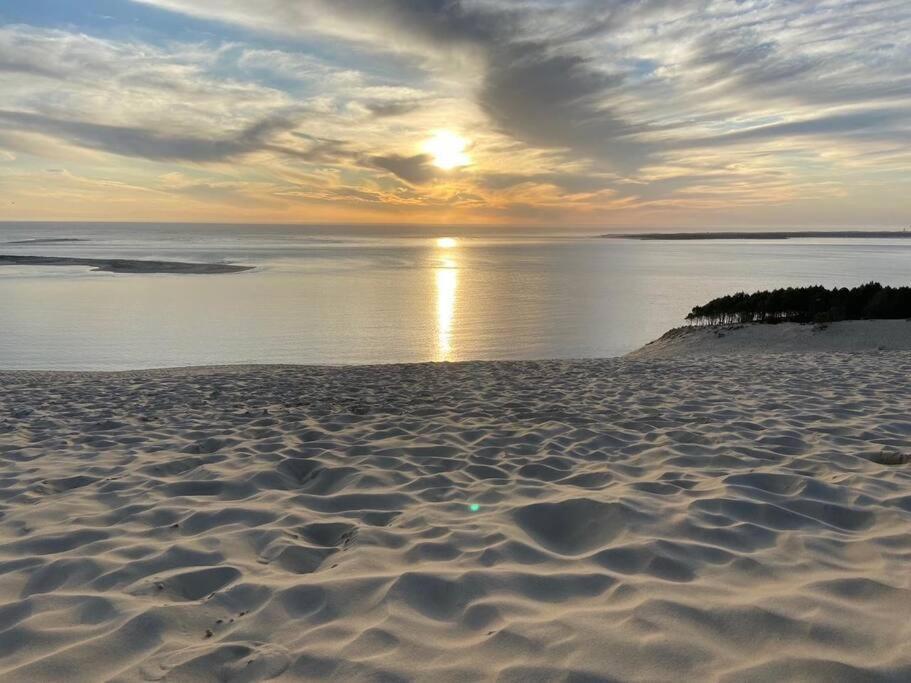 Villa Arcachon 12 Pers Avec Piscine Chauffee 1 Mai Au 30 Sept Eksteriør billede