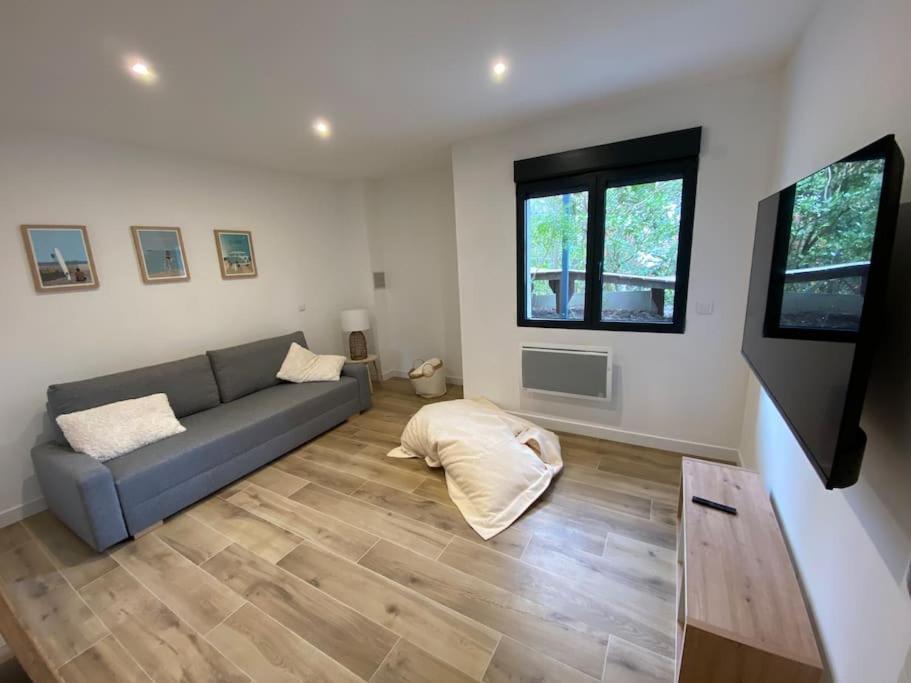 Villa Arcachon 12 Pers Avec Piscine Chauffee 1 Mai Au 30 Sept Eksteriør billede